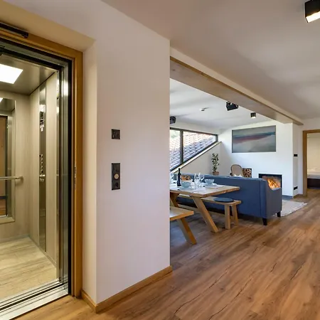 Апартаменты Alpine Homes - Hopfgarten Хопфгартен-им-Бриксенталь