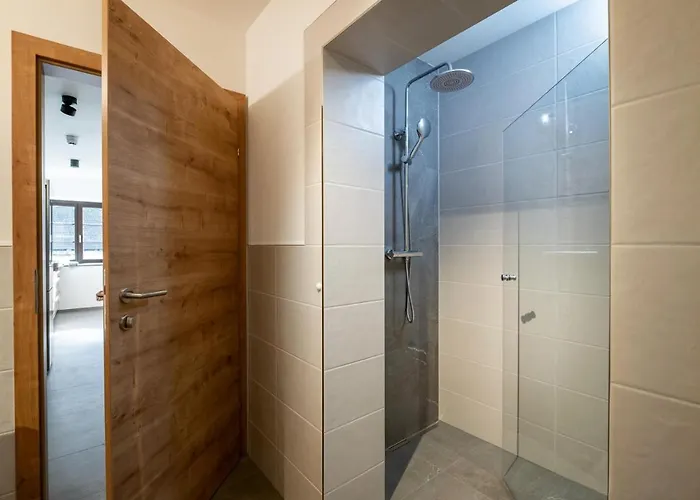 Alpine Homes - Hopfgarten