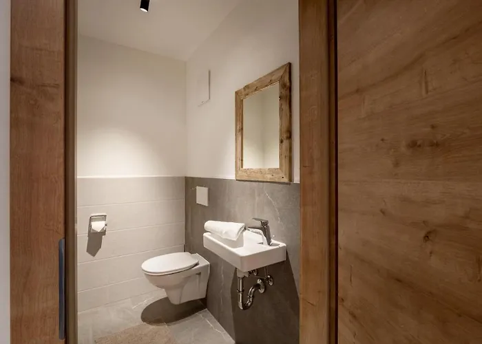 Apartment Alpine Homes - Hopfgarten *