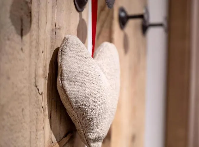 Apartment Alpine Homes - Hopfgarten *