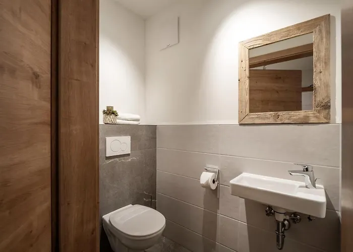 Apartment Alpine Homes - Hopfgarten