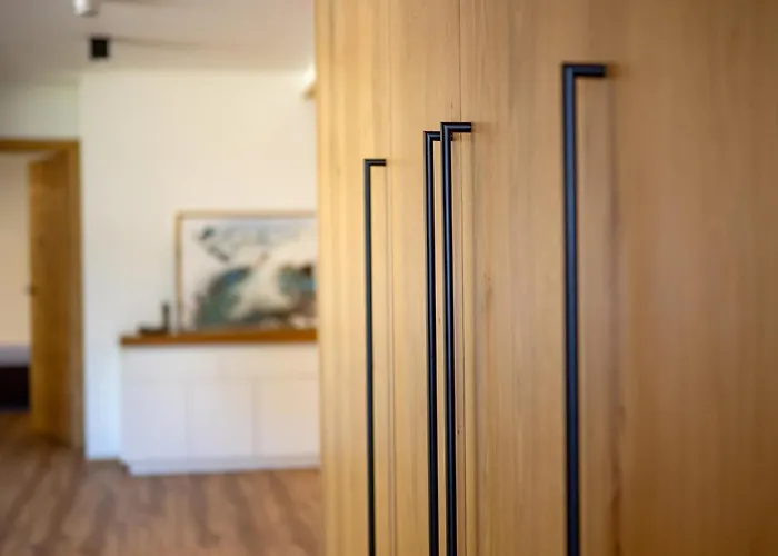 Apartment Alpine Homes - Hopfgarten