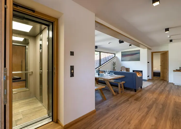 Apartment Alpine Homes - Hopfgarten Hopfgarten im Brixental