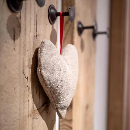 Daire Alpine Homes - Hopfgarten *